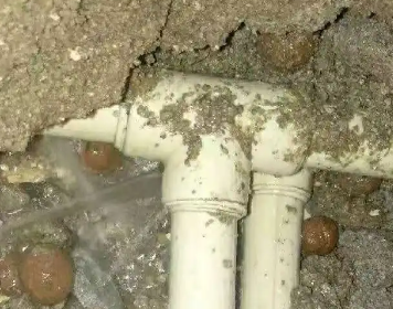 仁布测漏水多少钱