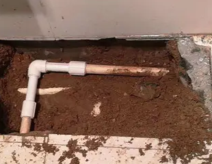 仁布测漏水哪家好