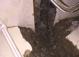 仁布卫生间测漏水哪家好