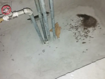 仁布卫生间测漏水价格明细