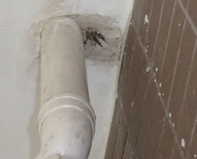 仁布漏水检测哪家好